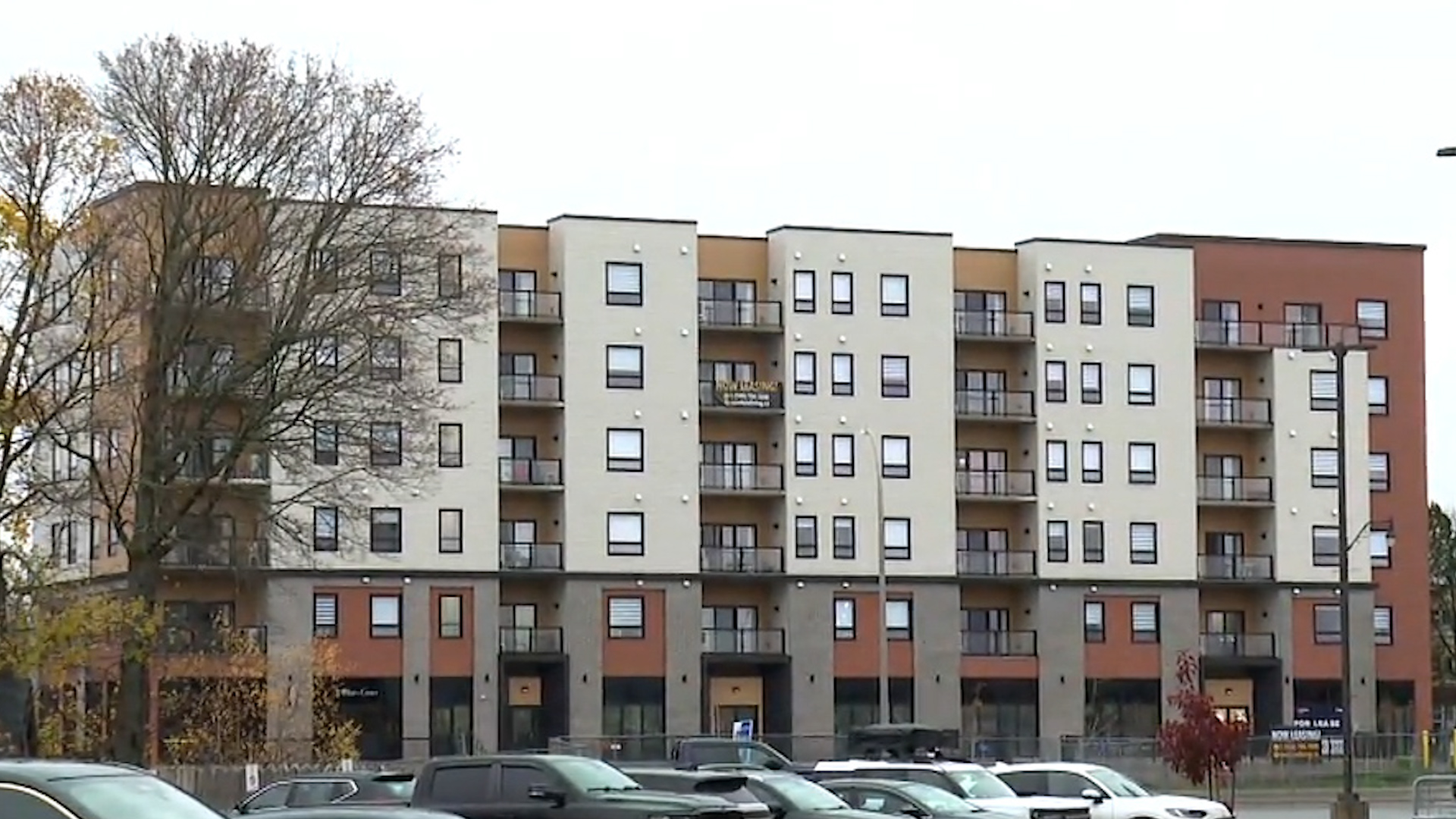 Lack of maintenance at NB Housing is at crisis levels: minister