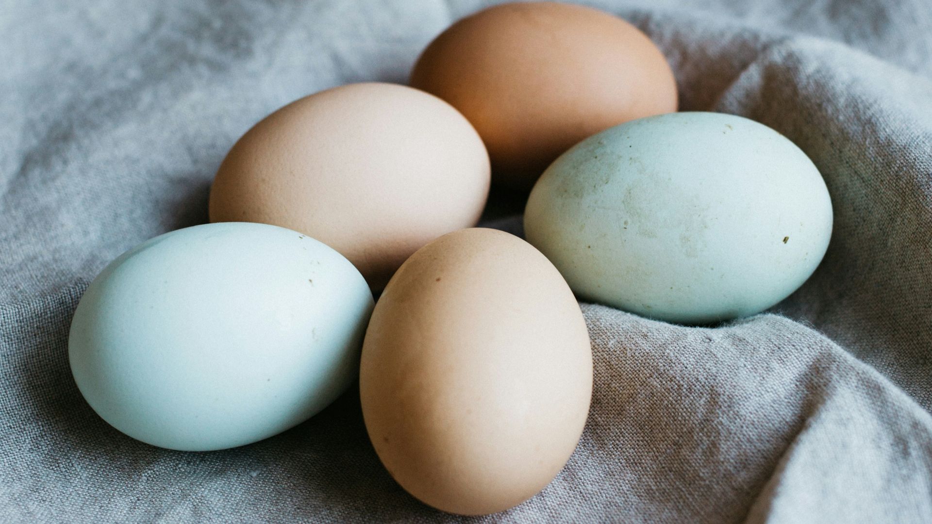 Brown vs. White Eggs: What's the Real Difference?