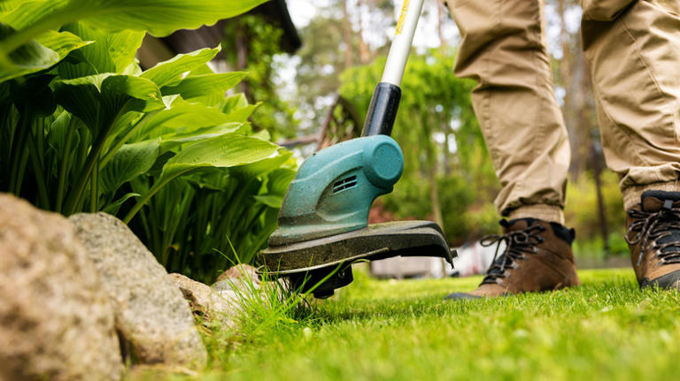 Here's The Best Battery-Operated String Trimmer You Can Buy, According ...