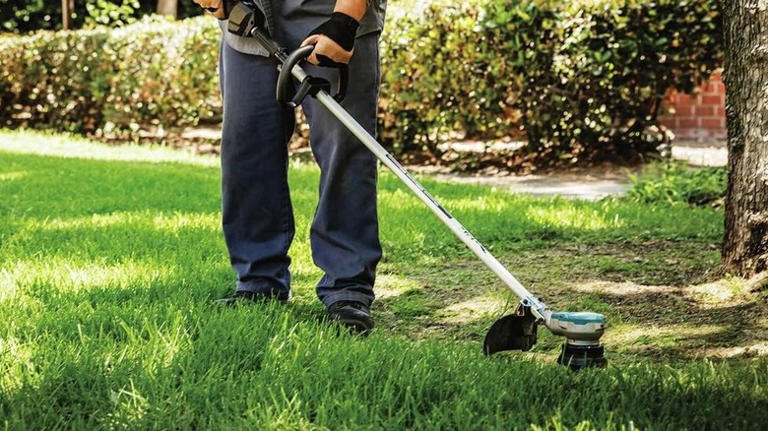 Here's The Best Battery-Operated String Trimmer You Can Buy, According ...