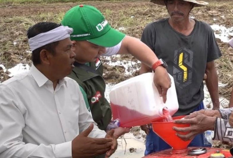 Apa Itu Bobibos? Dedi Mulyadi Siapkan Lahan di Lembur Pakuan