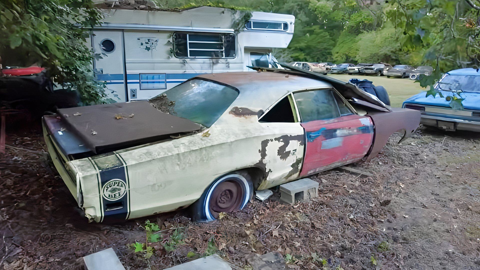 Massive Hidden Collection Is Home To Dozens Of Classic Road Runners And ...