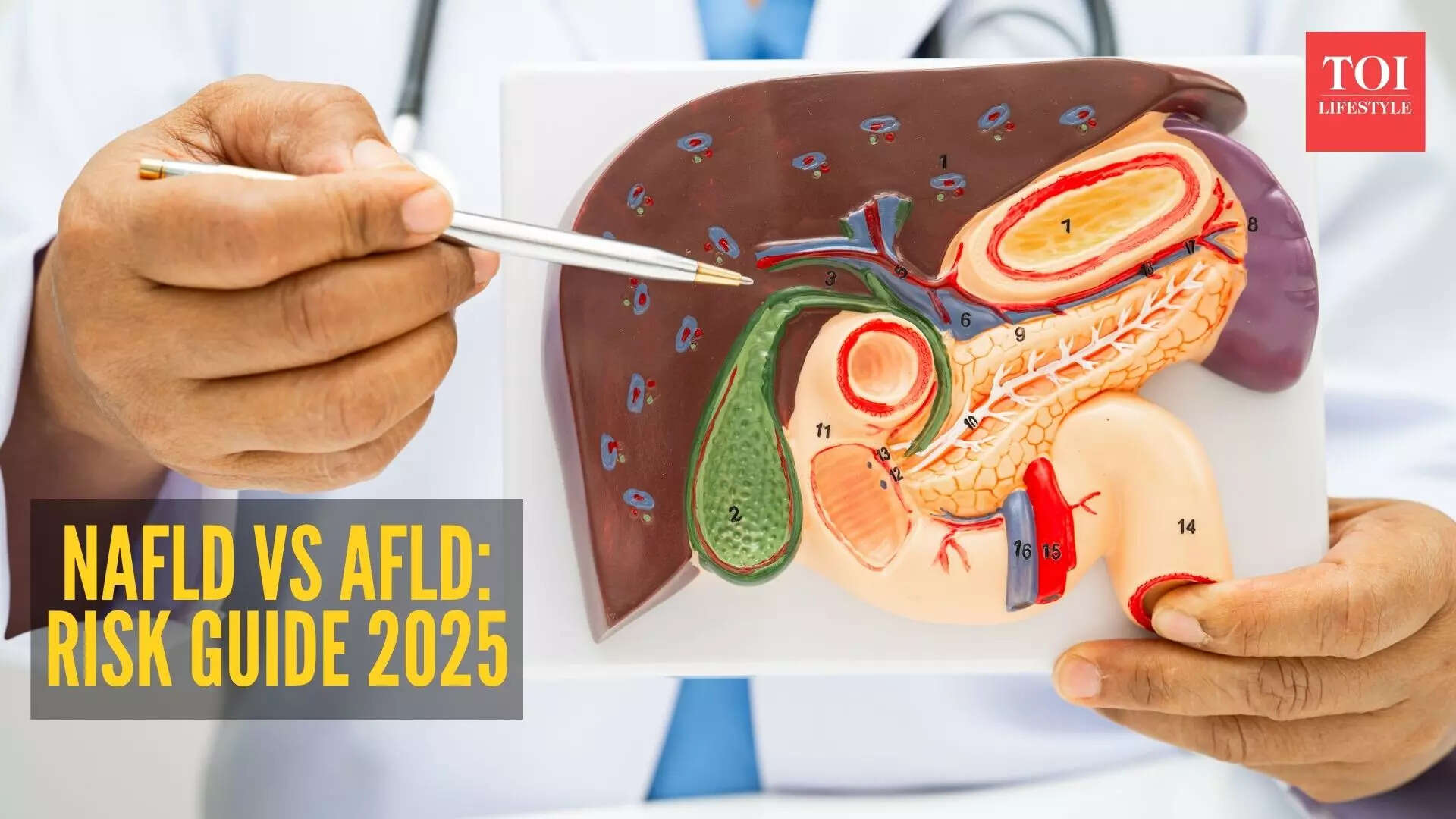 Alcoholism visual data 3