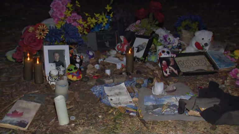 ‘Stupid dispute’: 3 boys charged with 1st-degree murder in death of ...