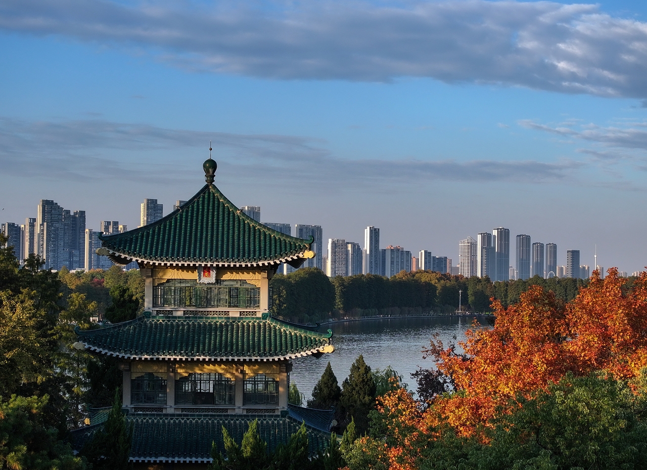 初冬武汉：色彩斑斓景如画