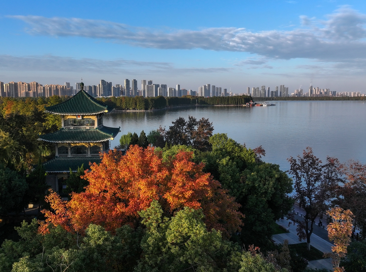 初冬武汉：色彩斑斓景如画