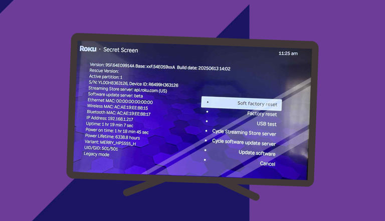 I used secret codes to unlock my Roku TV's hidden settings and menu ...