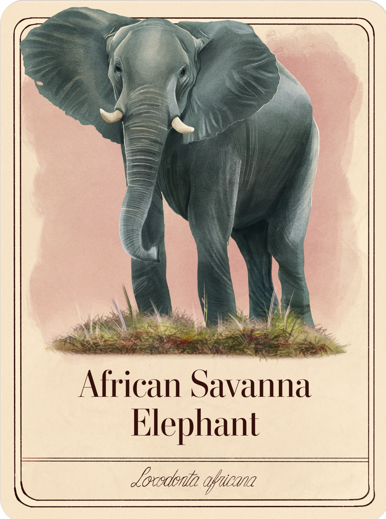 50 species that save us 