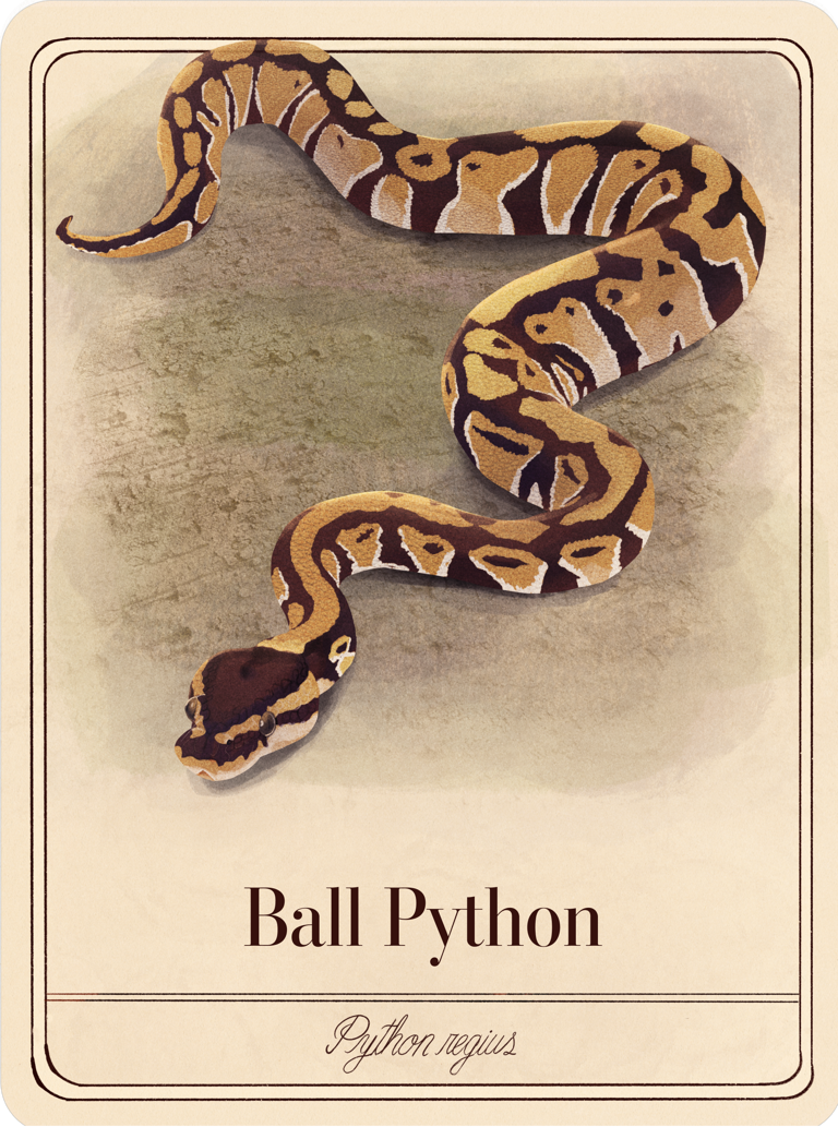 species-cards