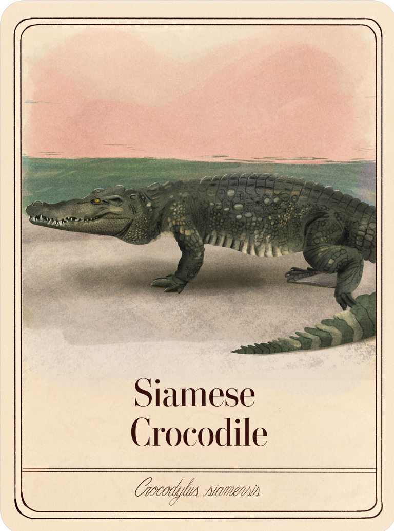 species-cards