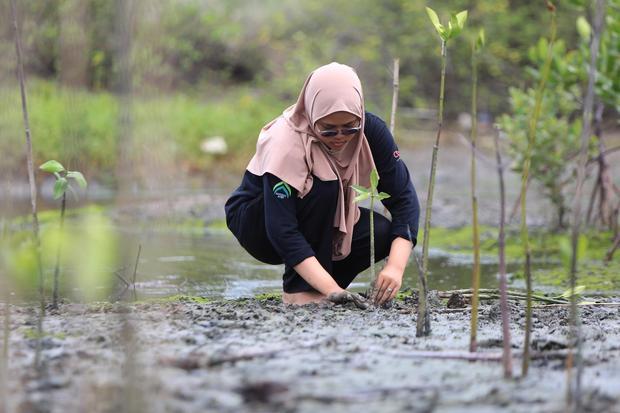 Delegasi Indonesia Perkenalkan Strategi Restorasi Mangrove di COP30