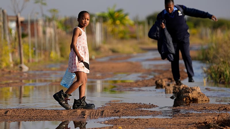 Top economists call on world leaders to set up an international panel ...