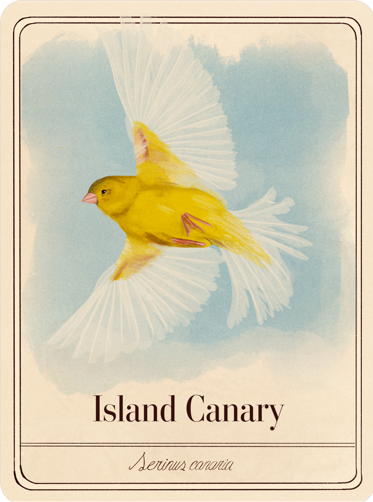 species-cards