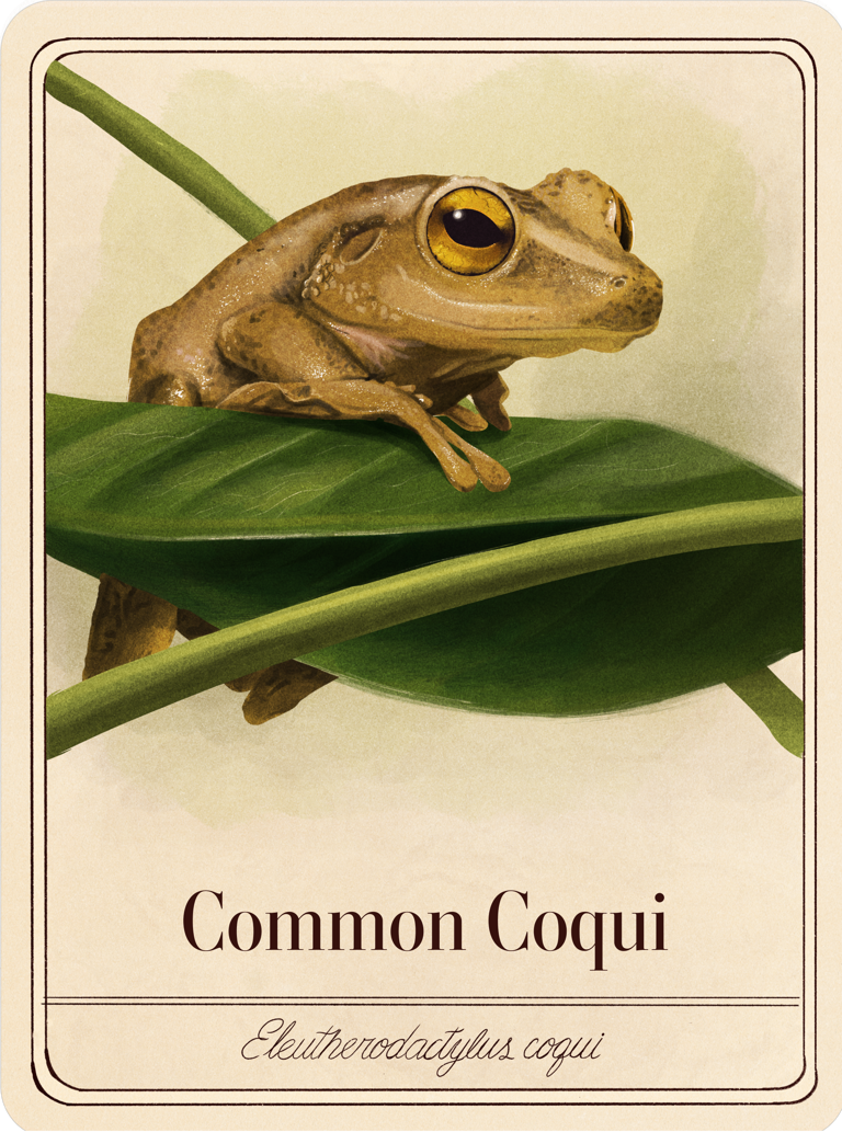 species-cards
