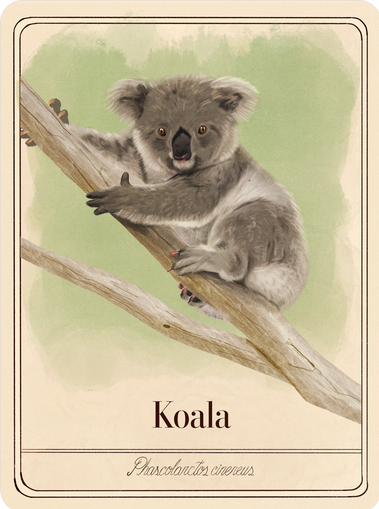 species-cards
