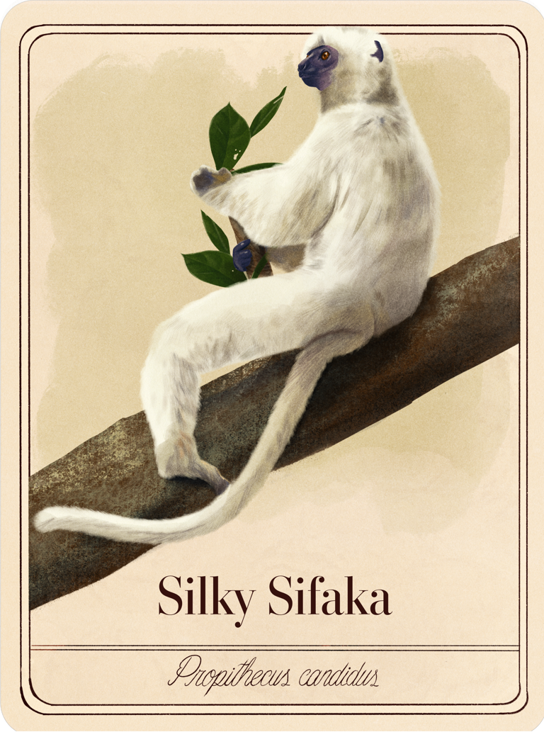 species-cards