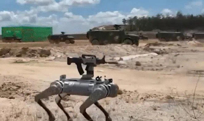 China unleashes Black Mirror-style 'robot wolves' army