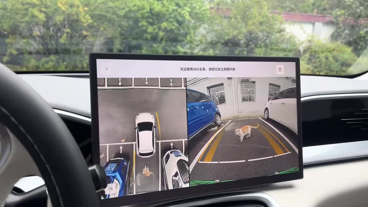 Cat hilariously trapped in narrow parking spot escapes in Shanxi, China