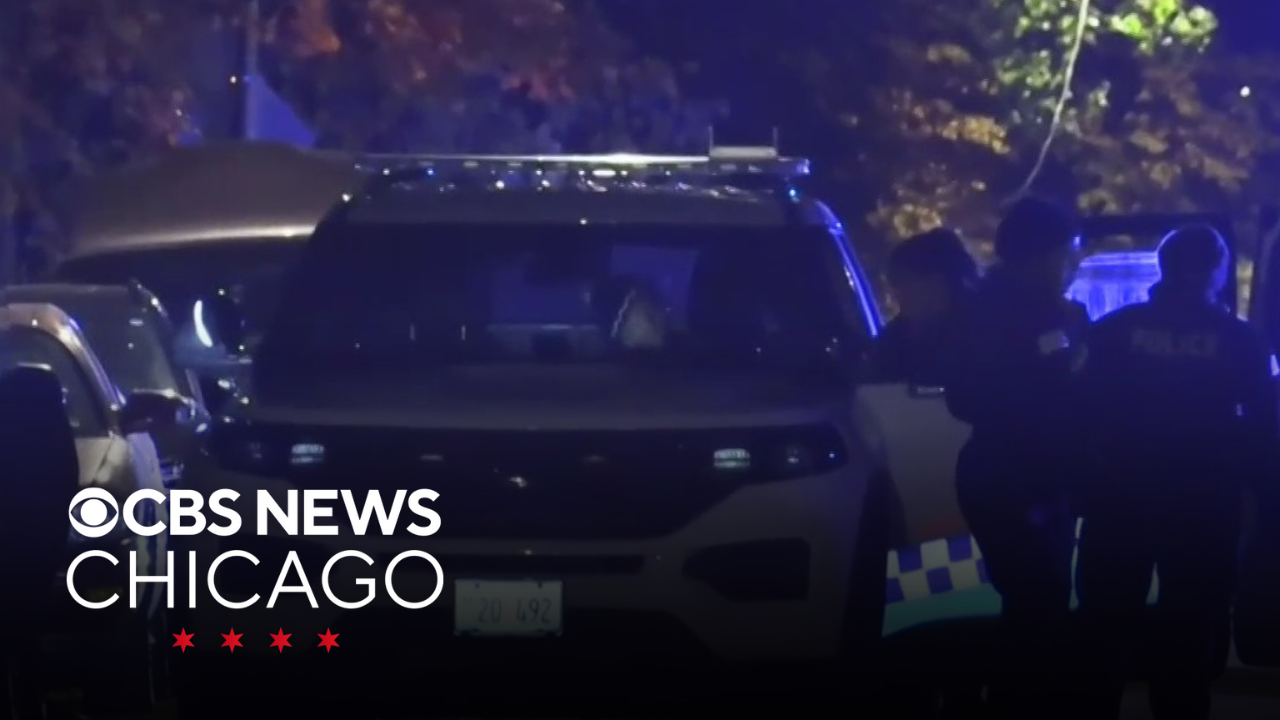 61-year-old found shot to death in Auburn Gresham