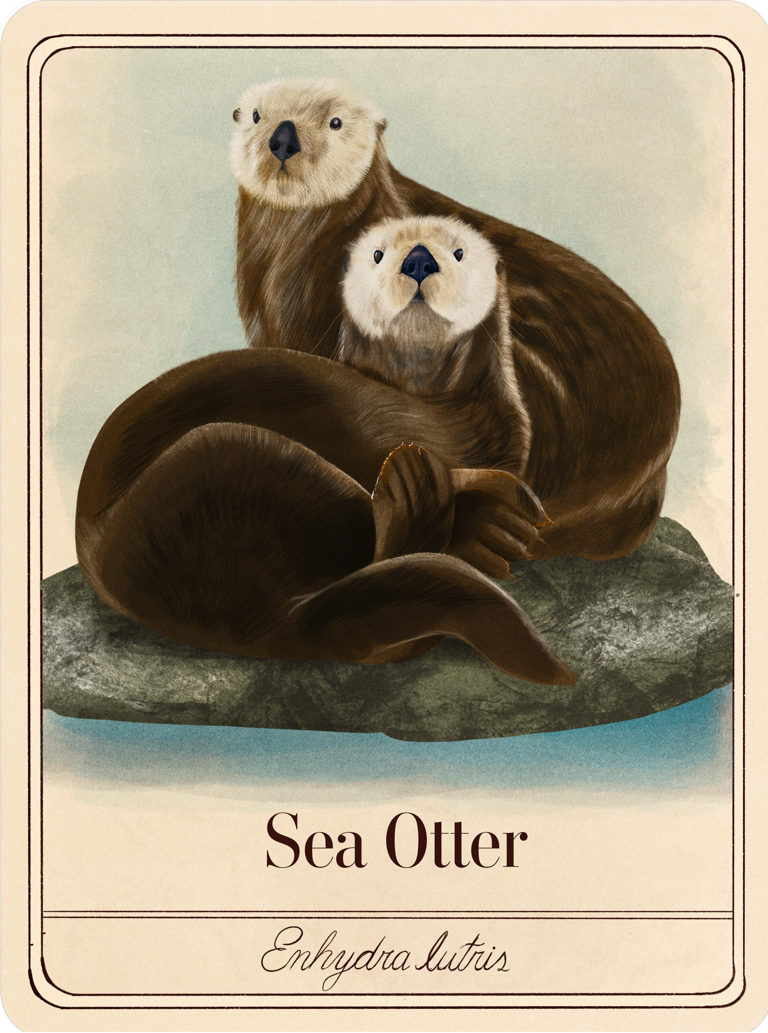species-cards