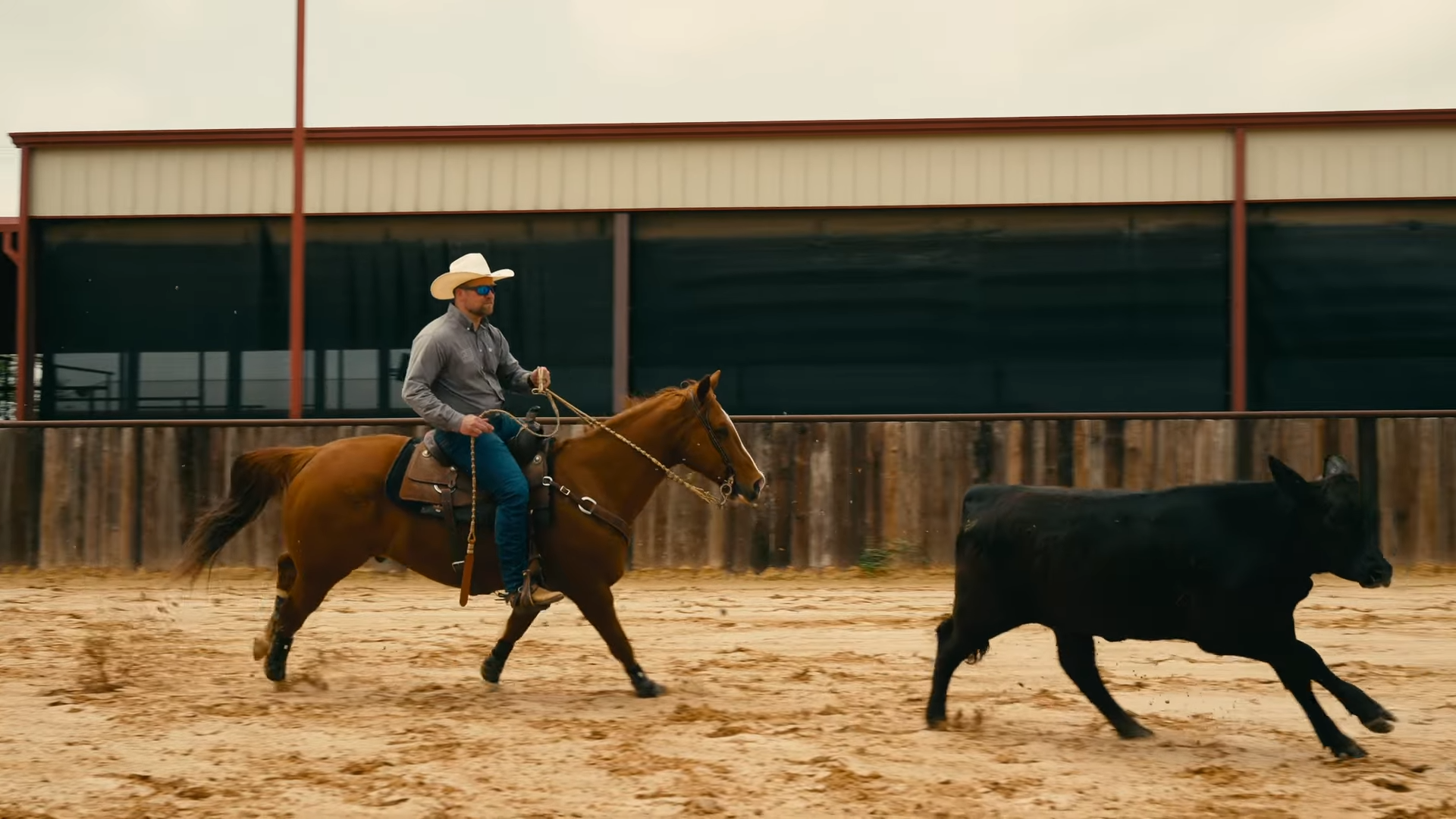 Inside the Kansas ranch where veterans find peace with horses