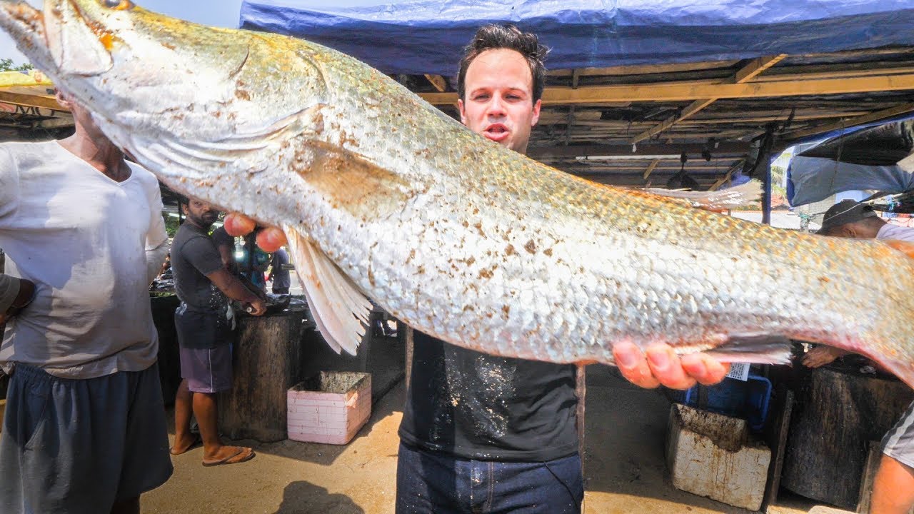 The Ultimate Sri Lankan Seafood Experience From Fish Market to Home Kitchen