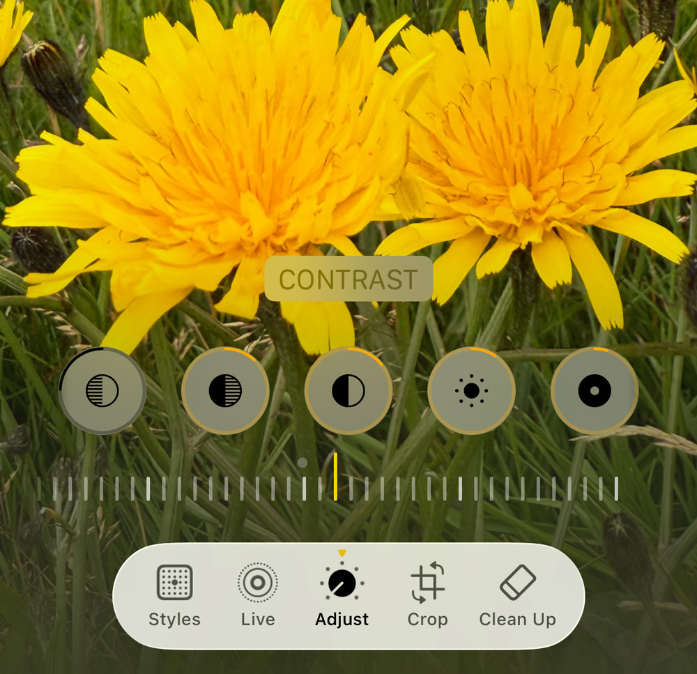 Who needs photo-editing apps! Your iPhone’s already got all you need