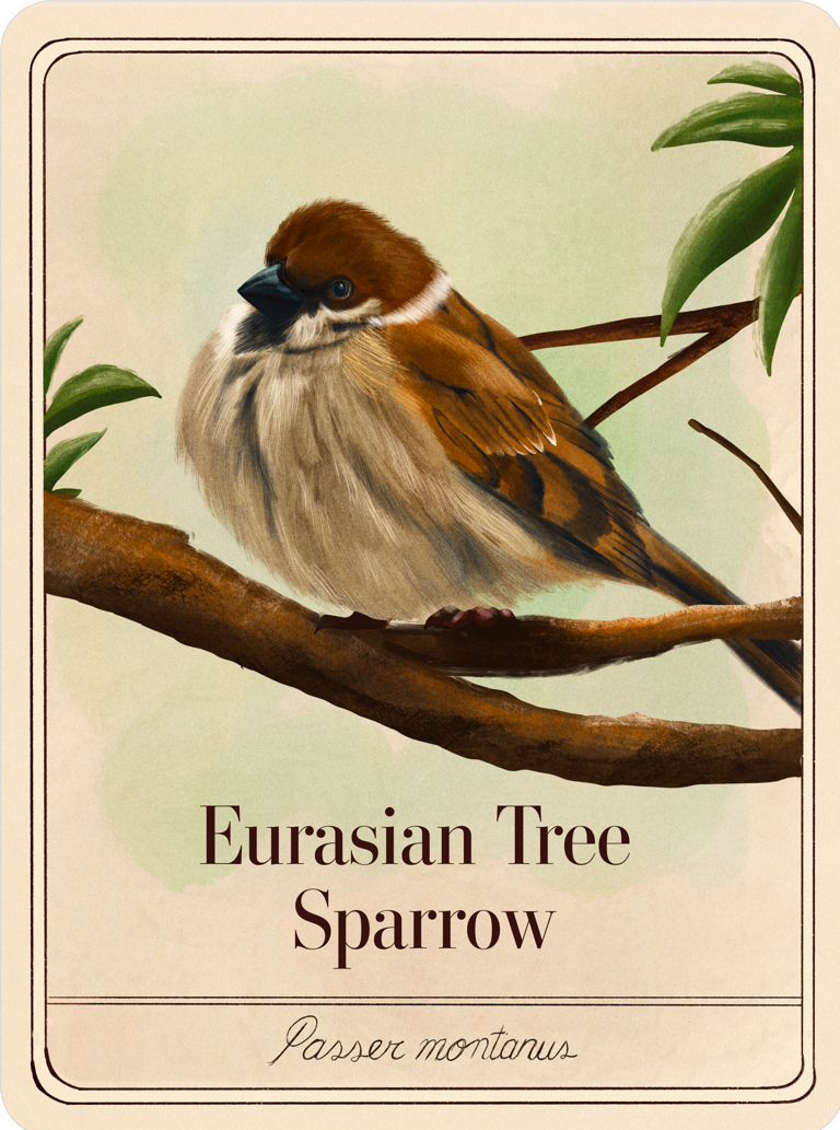 species-cards