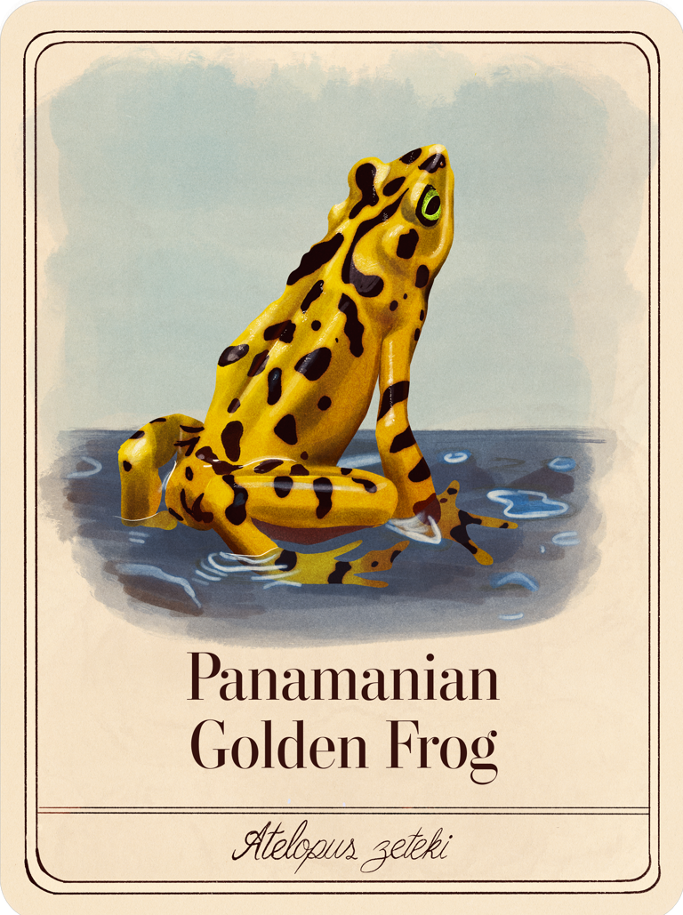 species-cards