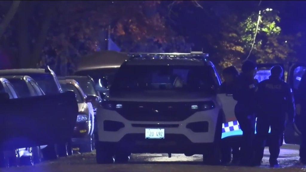 Man found shot to death in Auburn Gresham