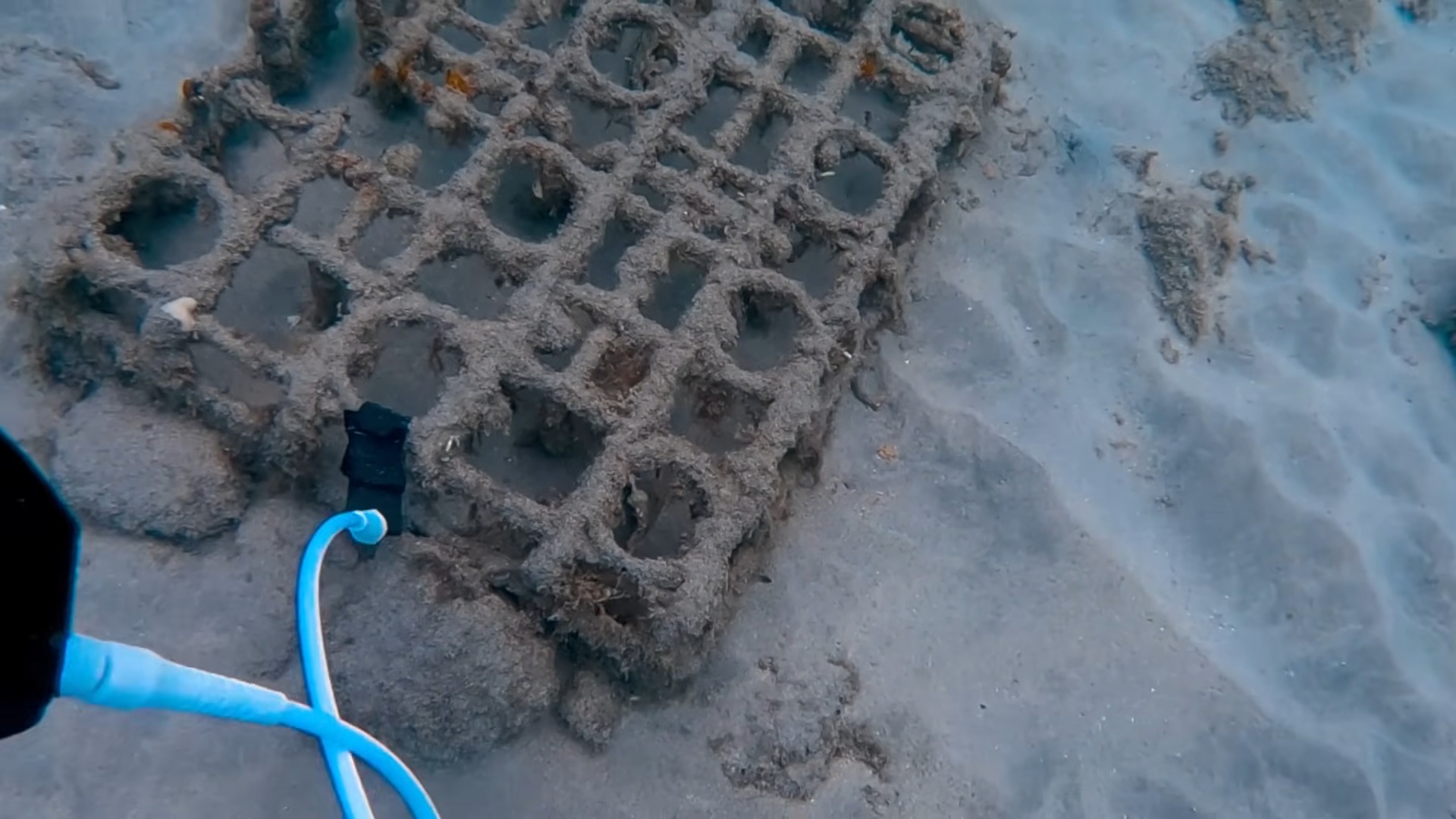 This Ocean Cleanup Turned Into a $1,000 Treasure Hunt!