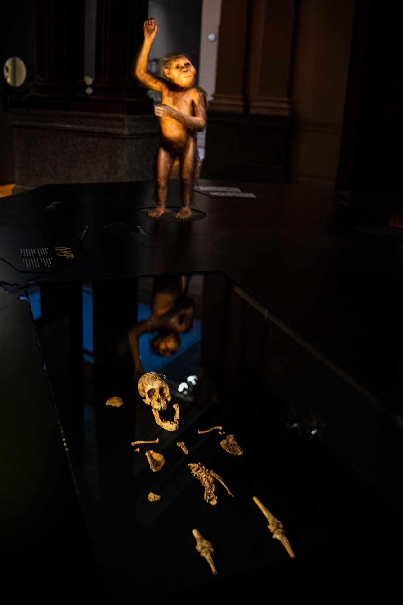 Meeting Lucy: How a World-First European Exhibition Brought Visitors ...