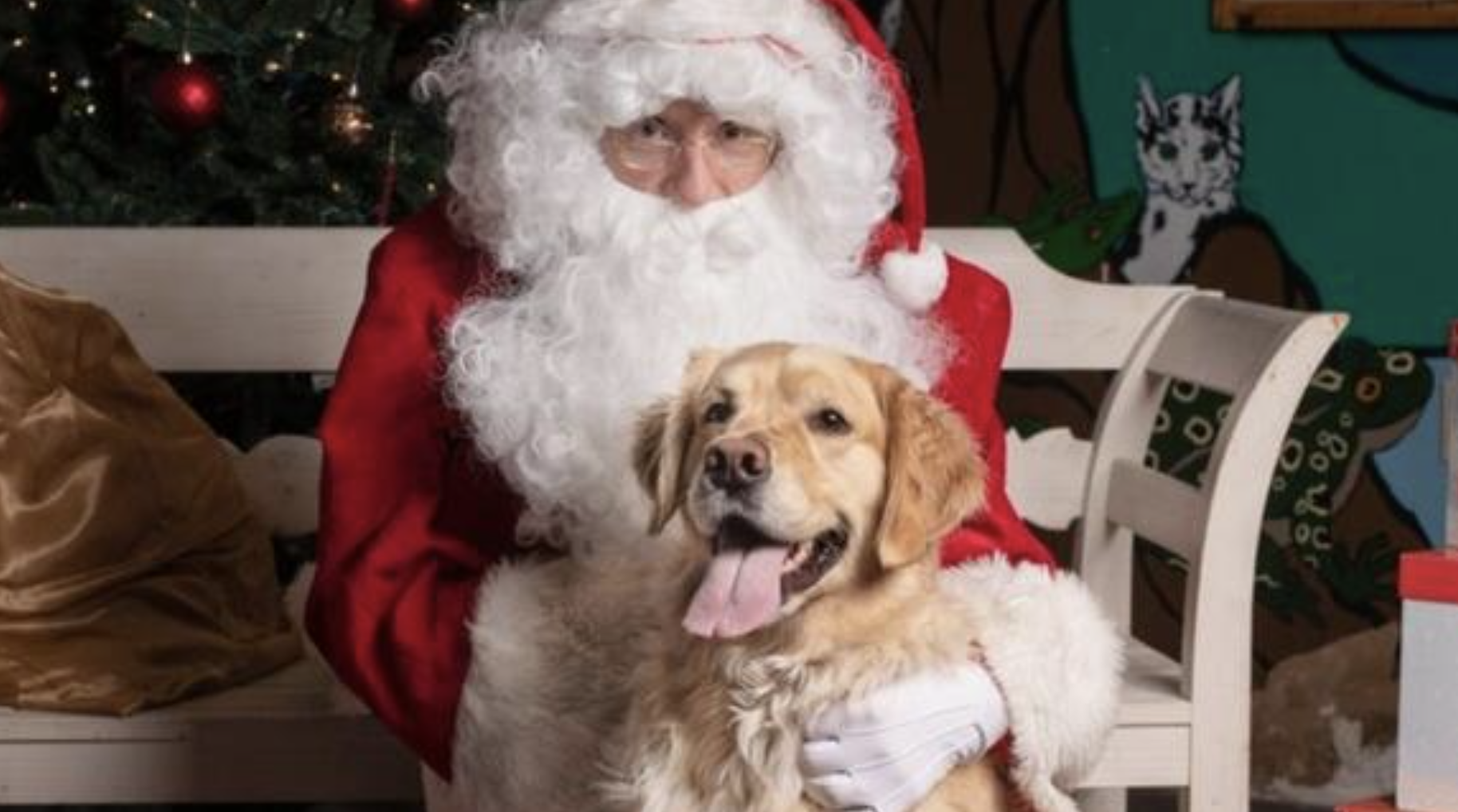 You're Invited: Local Animal Shelter Hosts Santa Photos to Support ...
