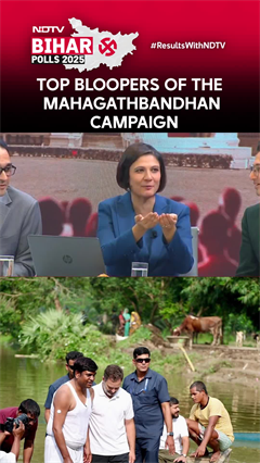 Bihar News | From Rahul's Swimming Session To Neha Sharma's Slip Of