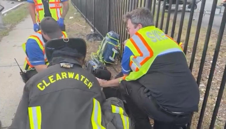 Dramatic video shows heroic good Samaritans pull elderly driver from ...