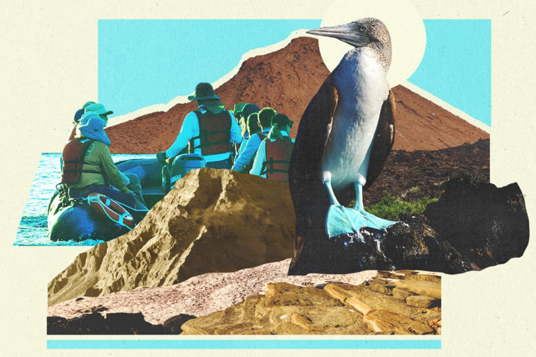 Visiting the Galapagos Means More When You Were Raised on Creationism