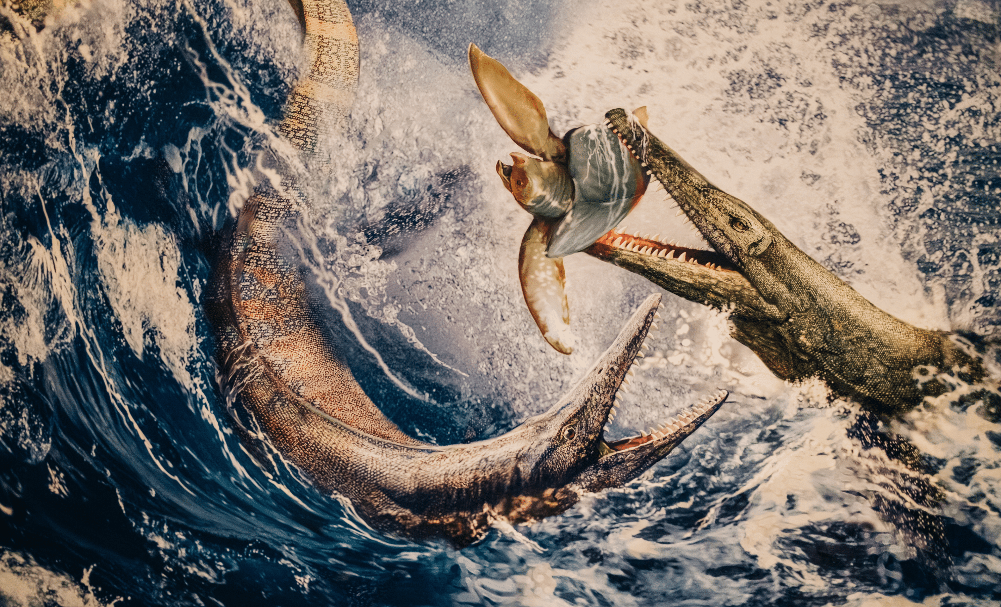 Discovery Of 249-Million-Year-Old Lost World In The Arctic Filled With ...