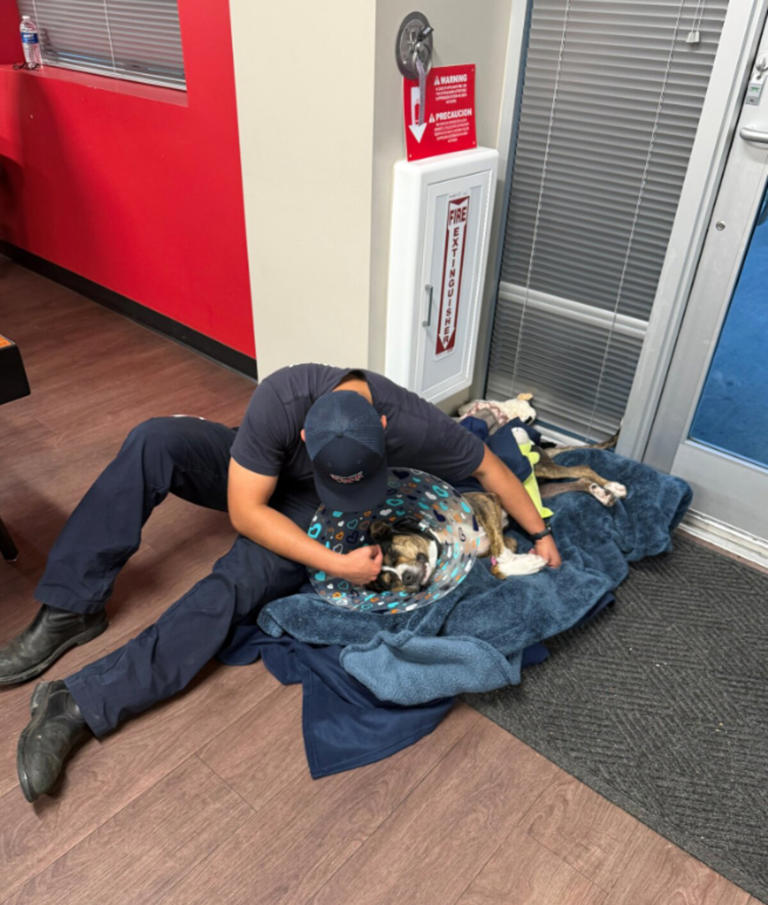 Dog Walks Into Fire Station And Makes Herself At Home — Then They Learn Why
