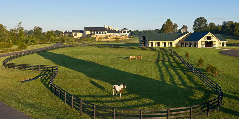A Snob’s Guide to Virginia Horse Country