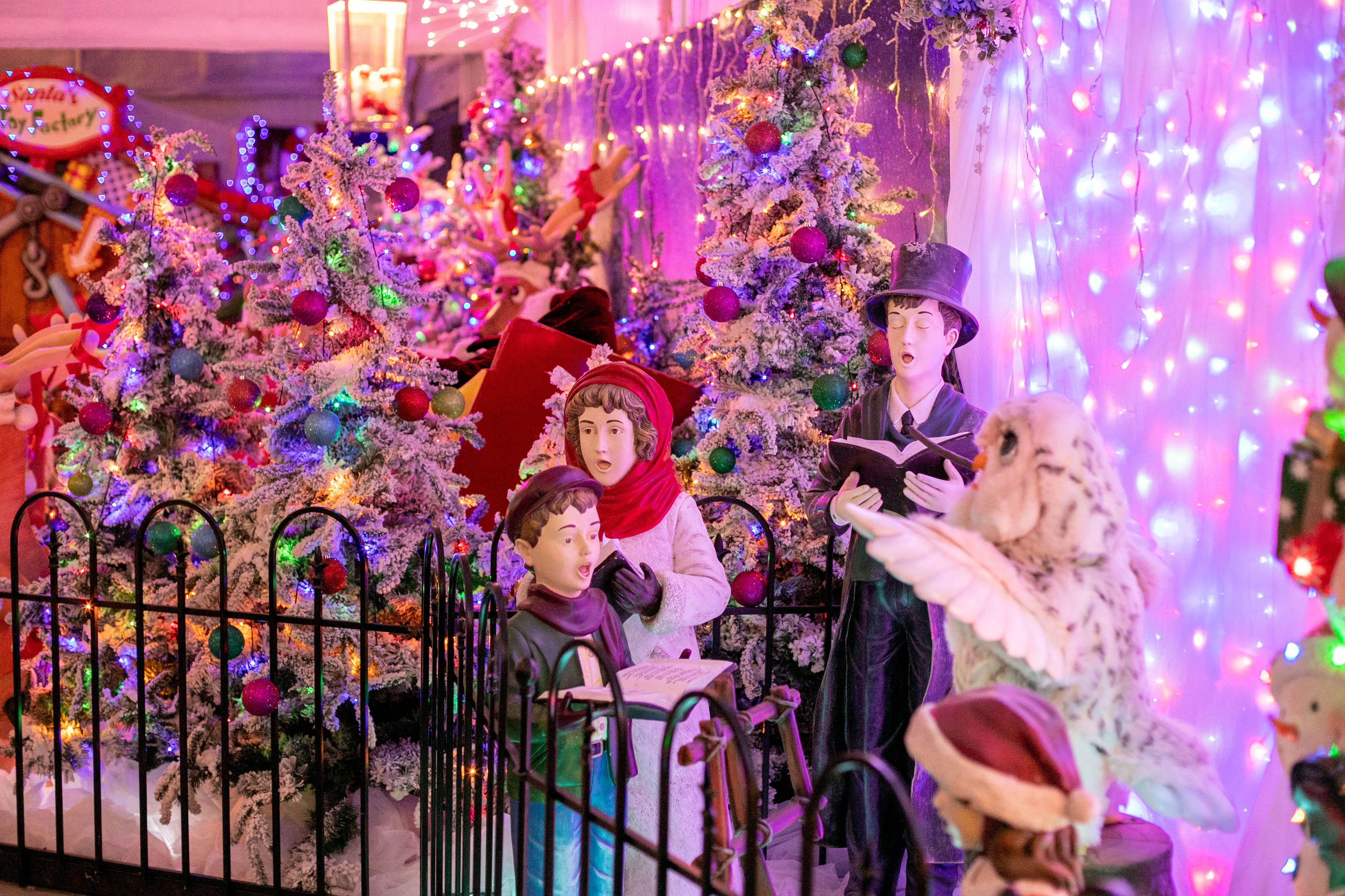 Christmas magic at Keydell Nurseries as iconic festive walk launches ...