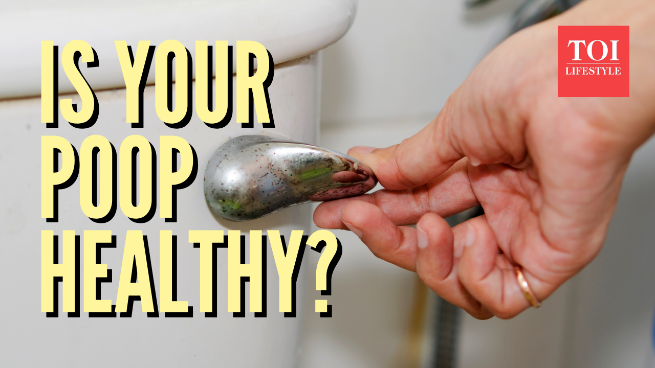 Harvard doctor explains what your poop type indicates and how to tell ...