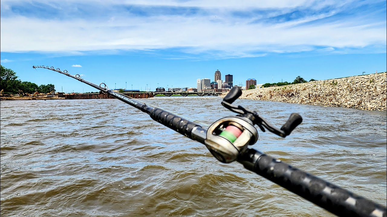 Urban dam fishing turns intense fast
