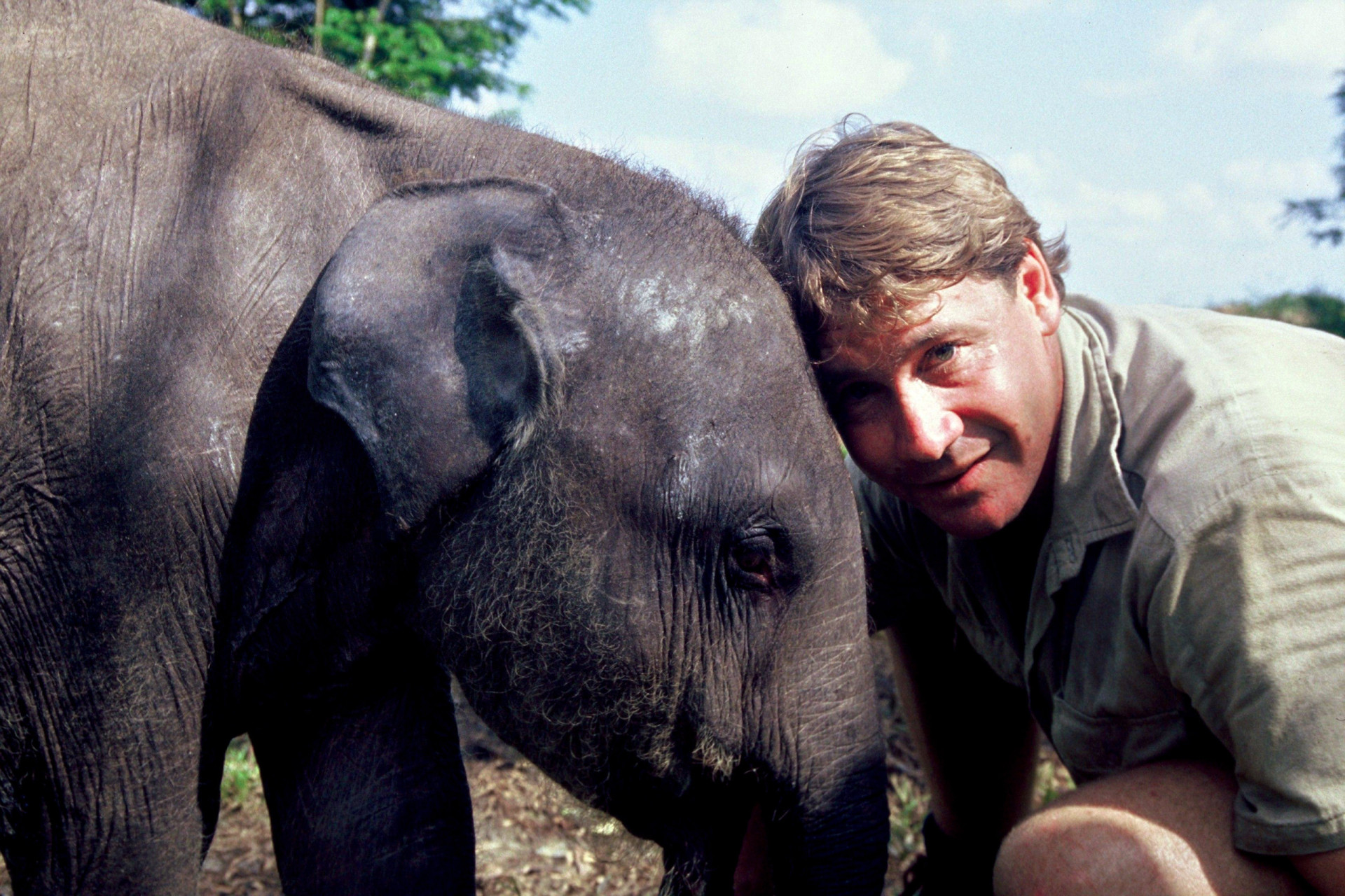 The legacy of Steve Irwin: from television star to conservation icon