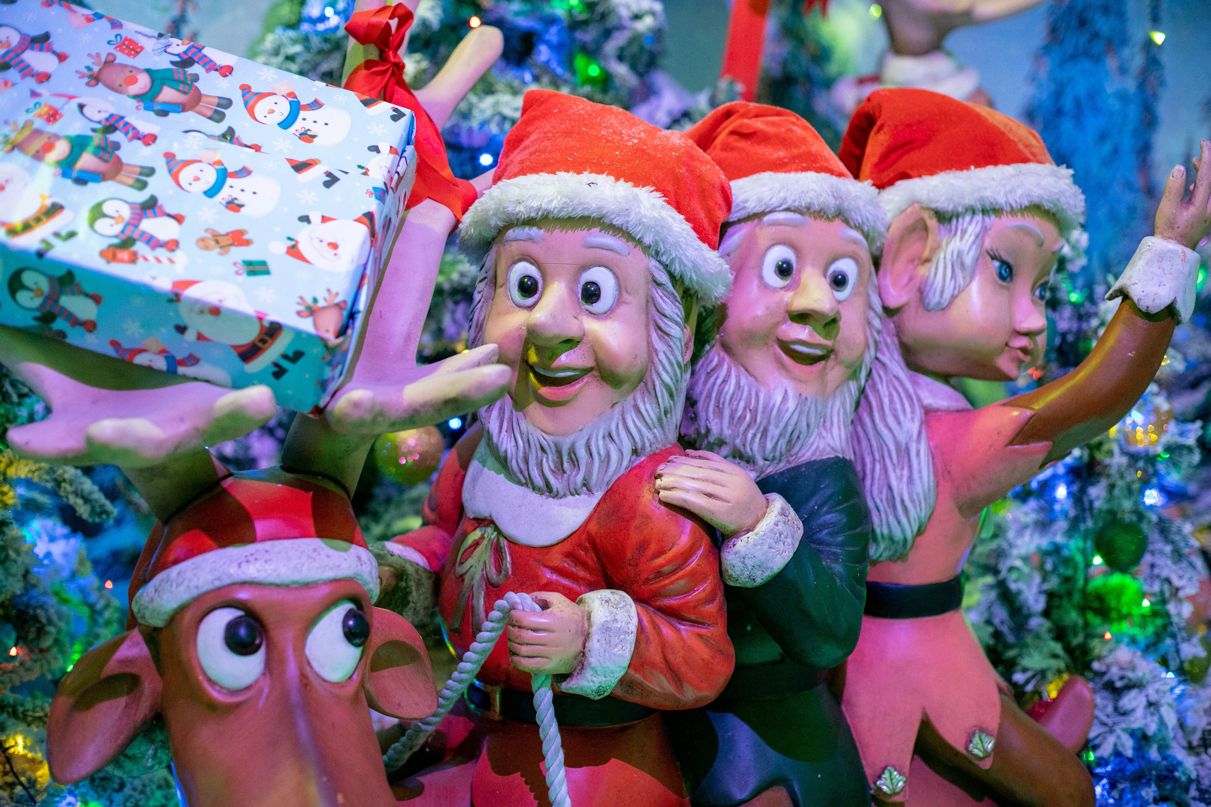 Christmas magic at Keydell Nurseries as iconic festive walk launches ...