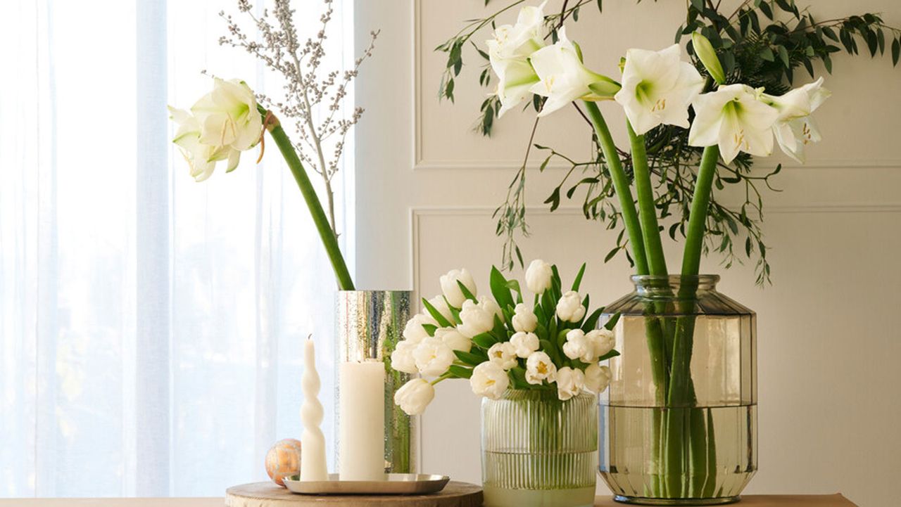 7 blooms you can grow now to create your own festive centerpiece