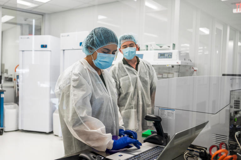 DNA lab aims to solve more than 500 cold cases of unidentified children ...