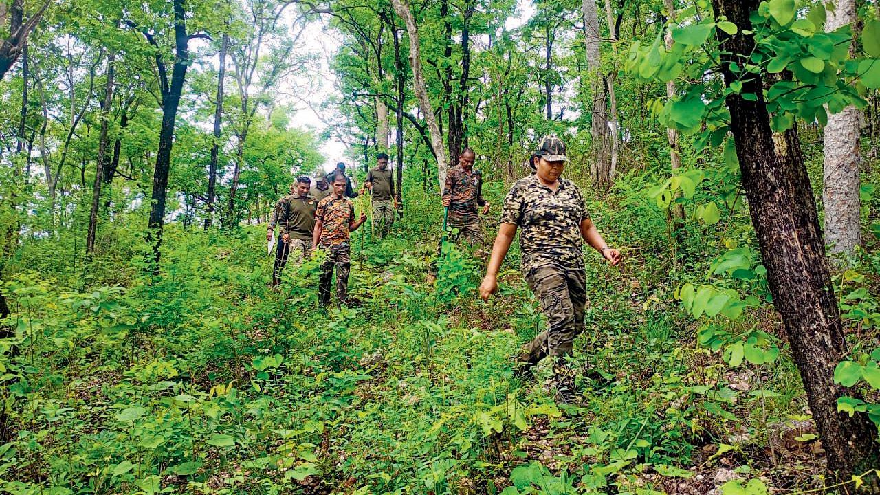 This new book spotlights 14 women rangers guarding India’s forests