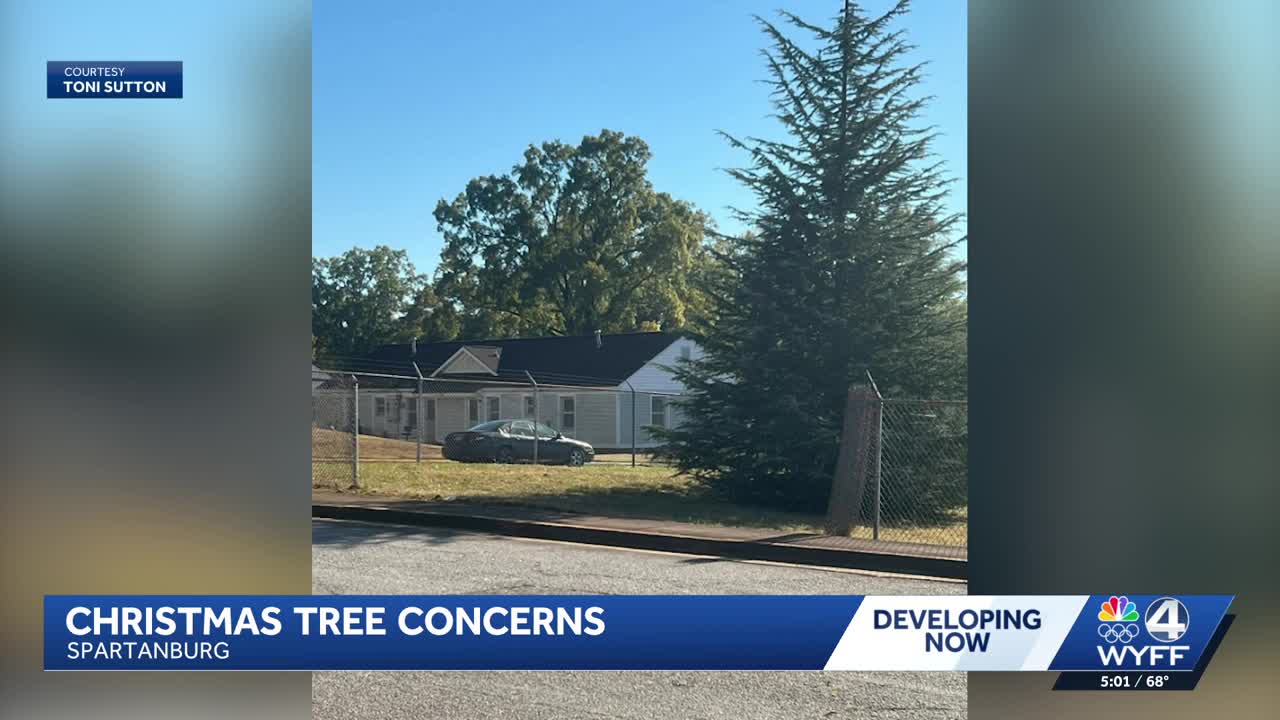 Spartanburg community voices concerns over tree removal from Old City