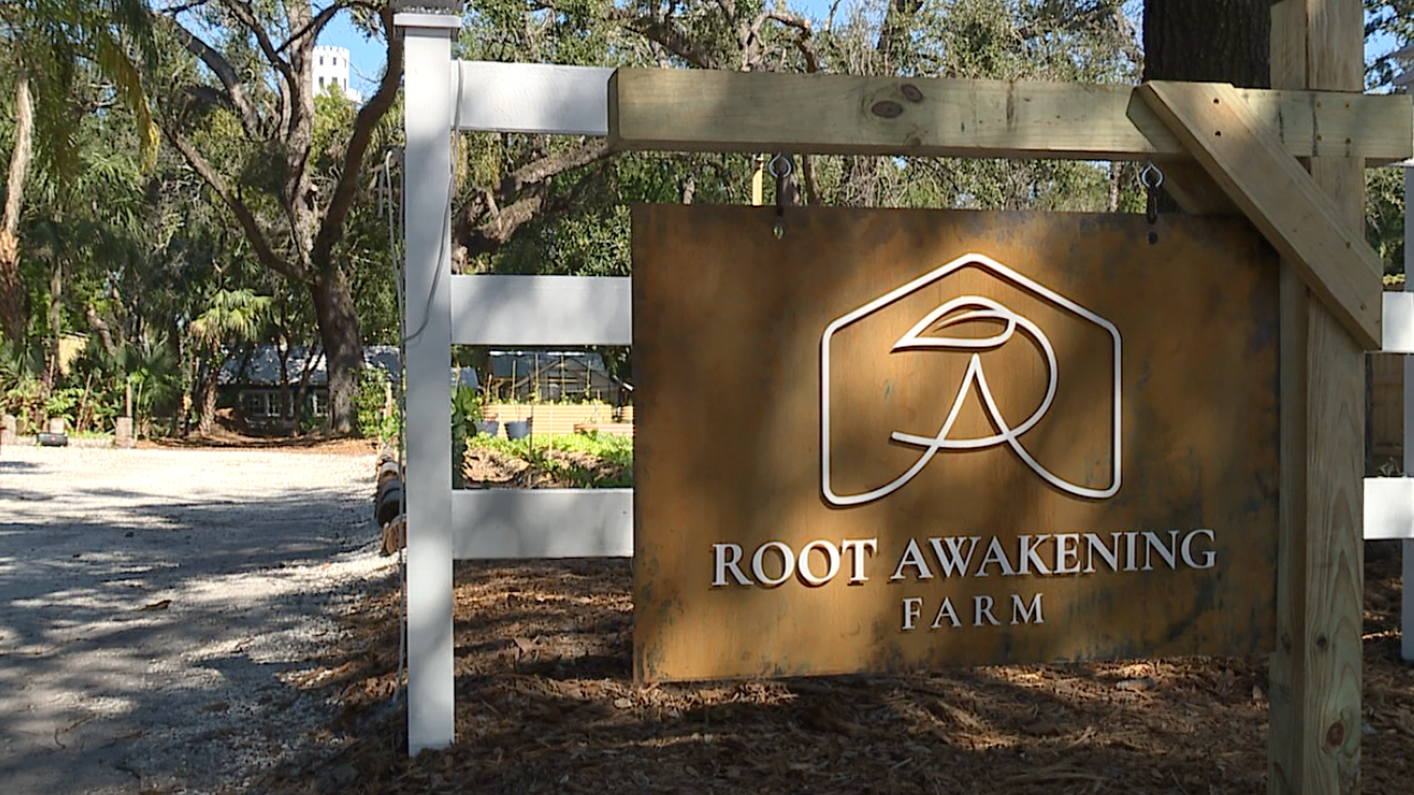 Tampa Bay recovery farm offers holistic approach to addiction treatment