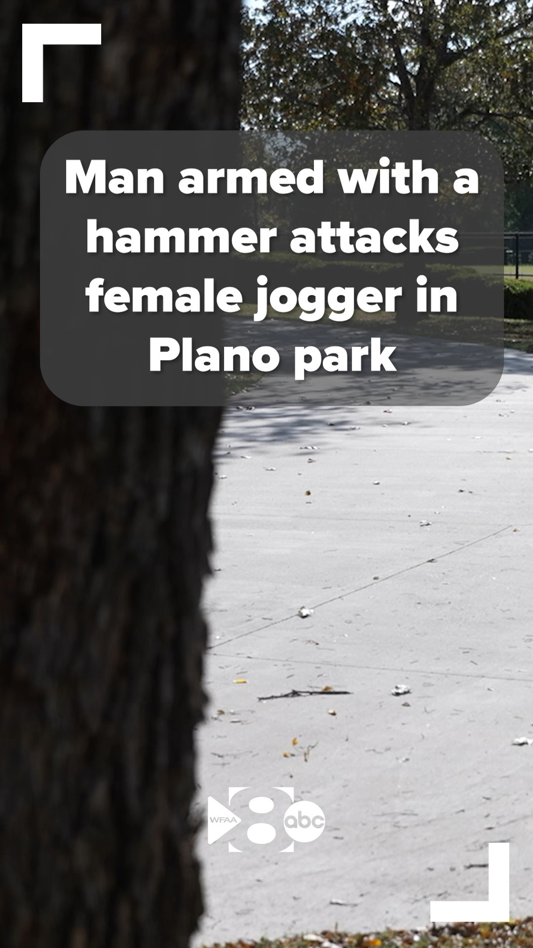 Police are investigating a hammer attack in Plano park